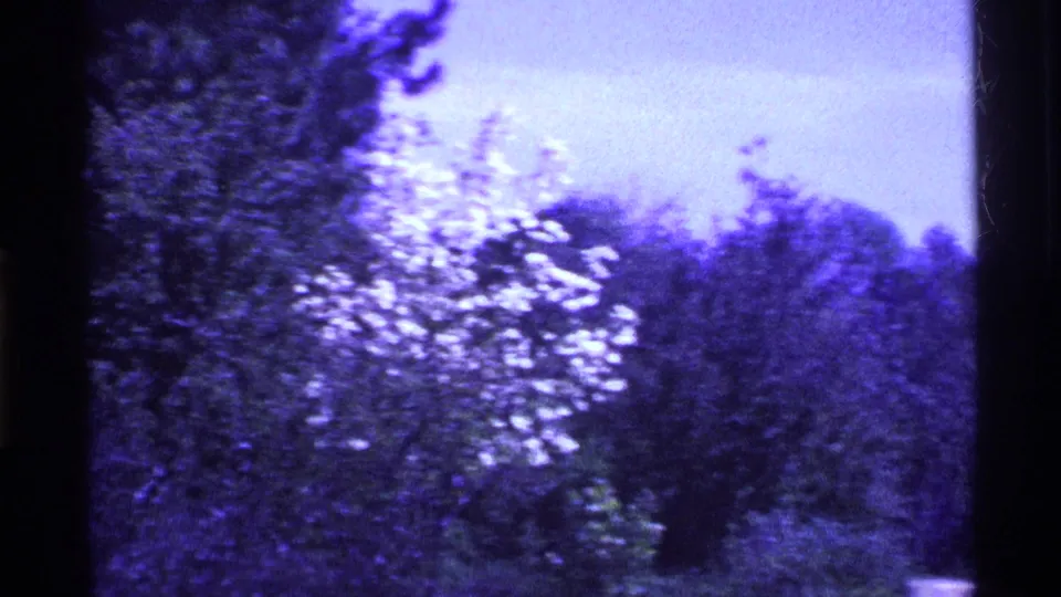 Purple-tinted 8mm frame of leafy shrubs and trees in an Ohio residential yard, with no people visible.