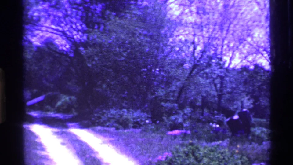 1969 Ohio home-movie frame showing the driveway, lawn, shrubs, and dense trees after the camera pans away from the house.