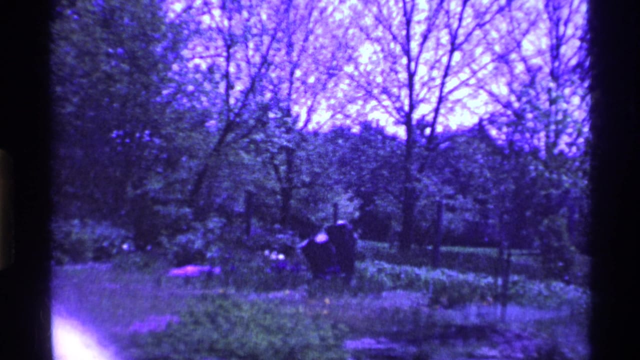 1969 Ohio 8mm frame of a quiet wooded park or garden area with shrubs, grass, and bare branches under a purple color cast.