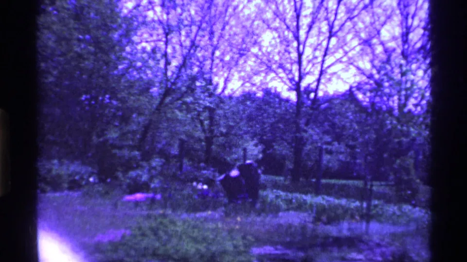 1969 Ohio 8mm frame of a quiet wooded park or garden area with shrubs, grass, and bare branches under a purple color cast.