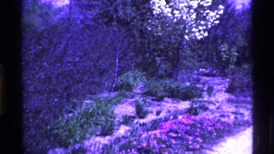 1969 Ohio 8mm frame showing garden beds, shrubs, small trees, and a pale dirt path in an empty outdoor area.