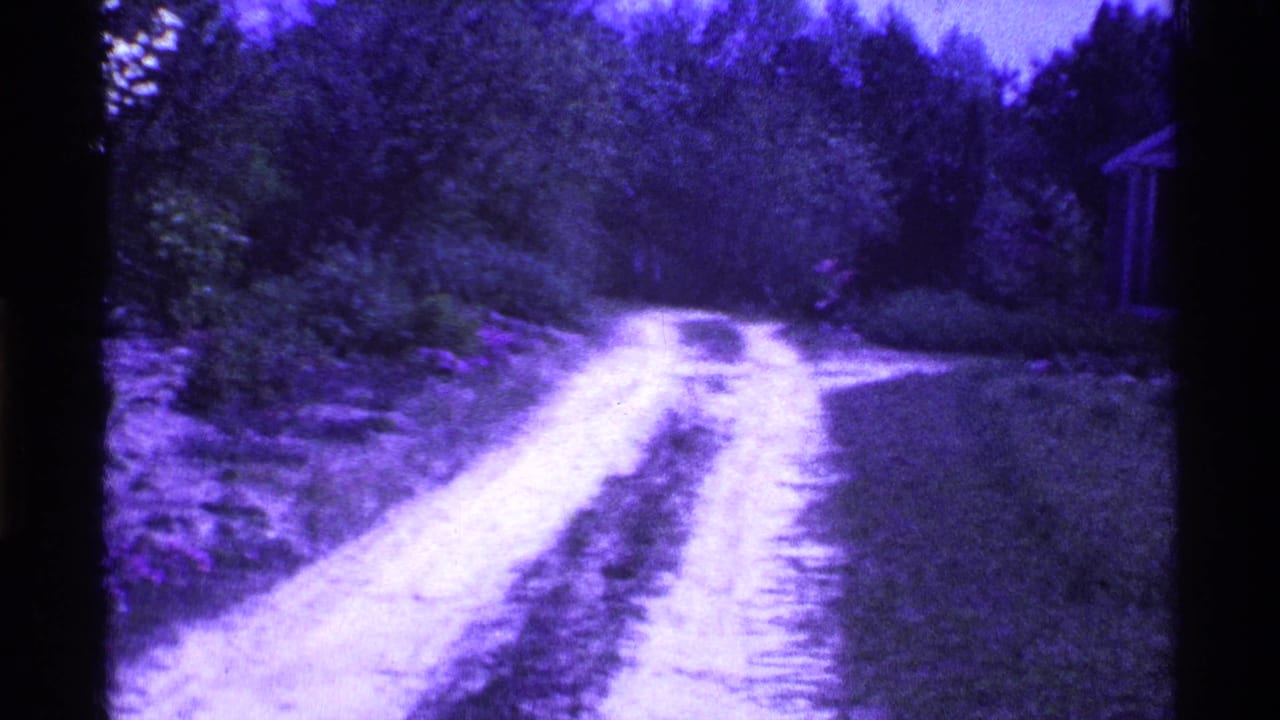 Rural dirt driveway bordered by trees and brush, with part of a house at the right edge.