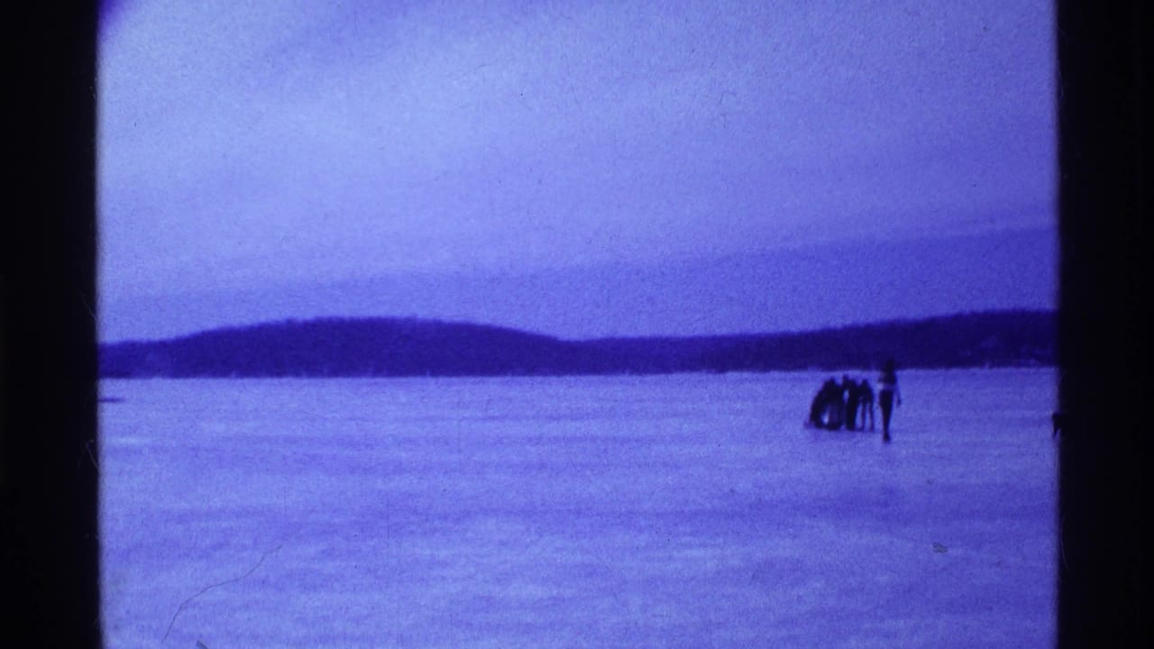 Distant group and dog standing on a frozen lake near a wooded shoreline.