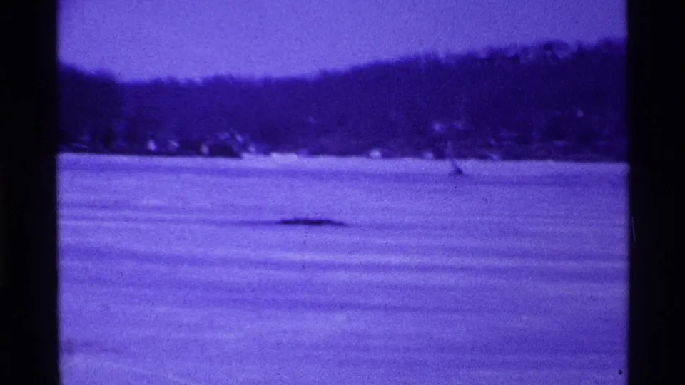 1969 Ohio 8mm frame of open lake water and a distant shoreline, with soft focus and heavy purple cast.