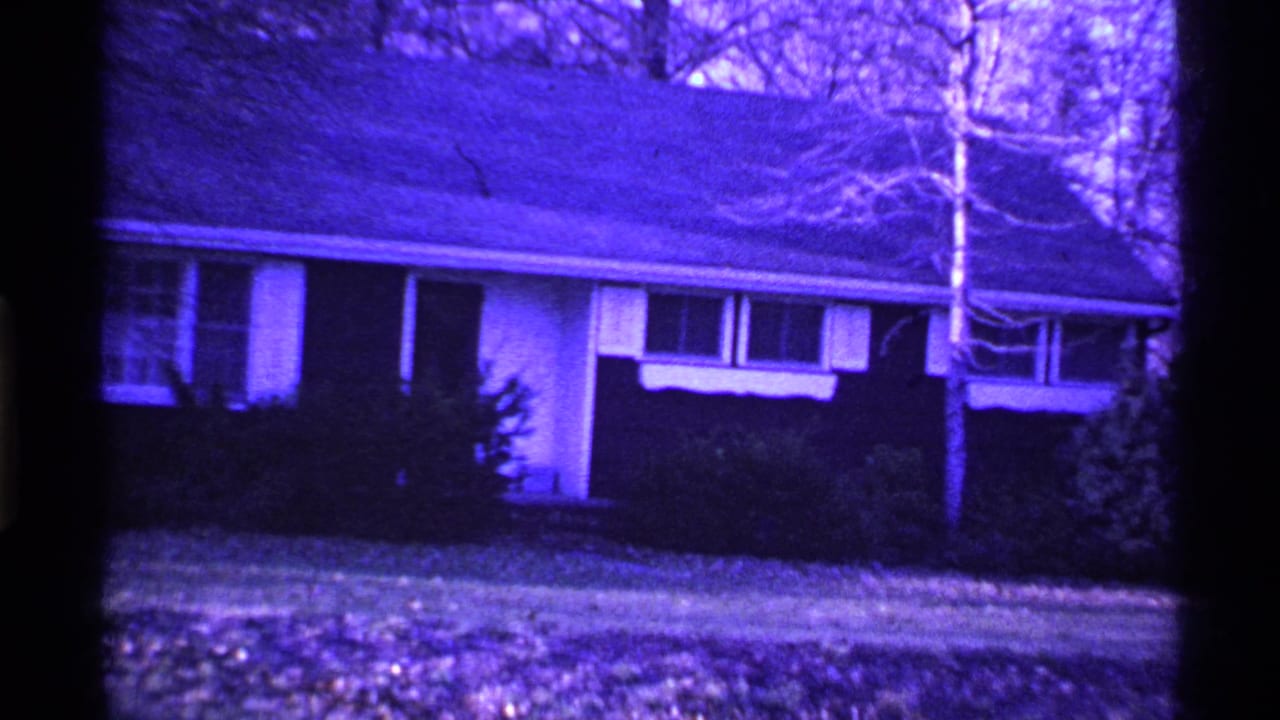 Suburban single-story house seen across a lawn with shrubs and bare trees.