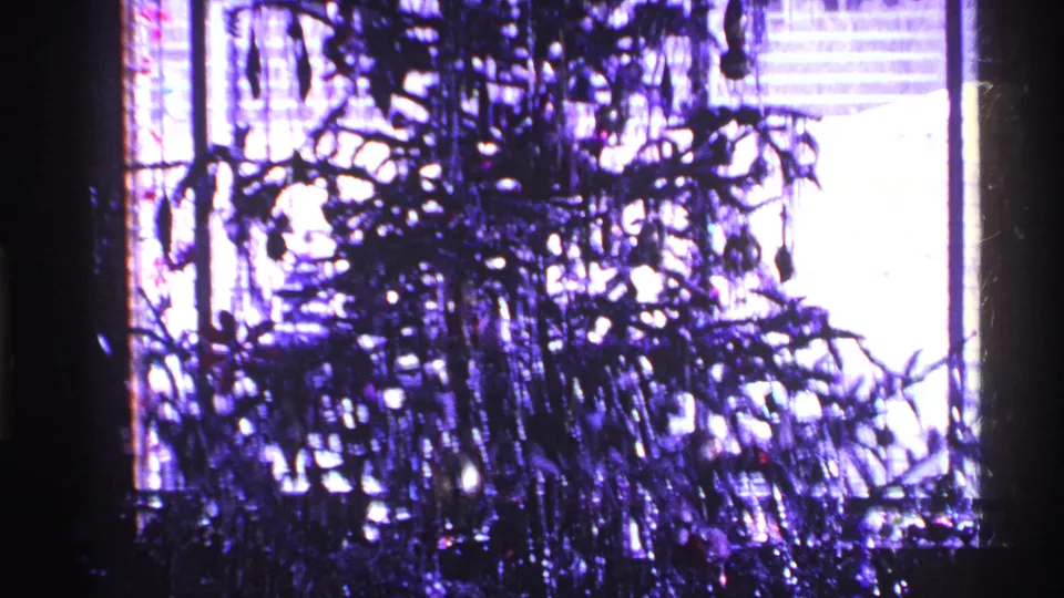 Purple-tinted 8mm frame showing dense plant silhouettes against a bright window or doorway, likely adjacent to the wooded home-movie scene.