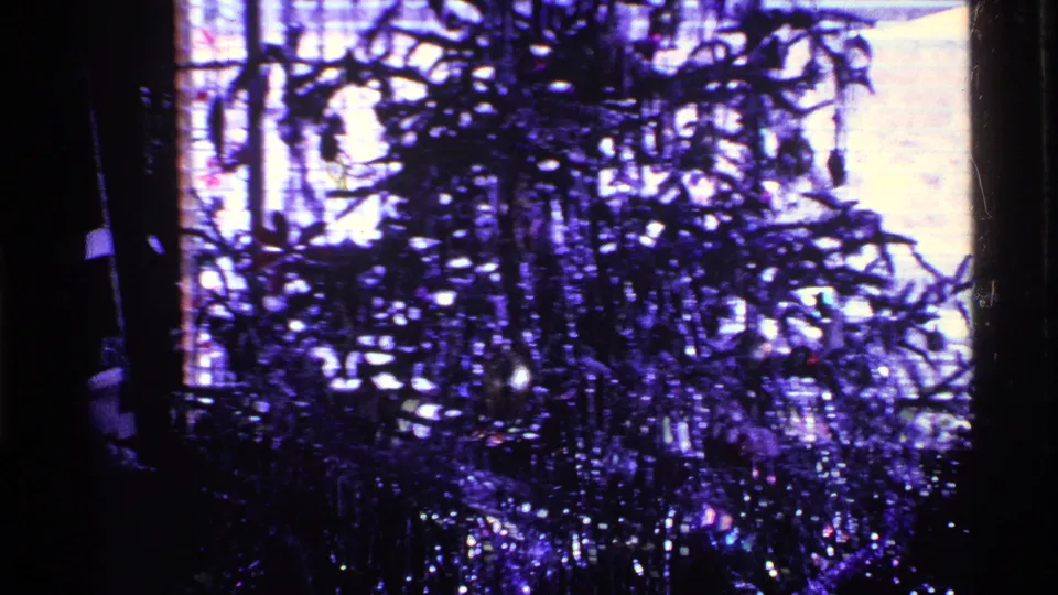 1969 Ohio 8mm frame with dark houseplant shapes, window light, and heavy purple cast, continuing the domestic outdoor-adjacent view.