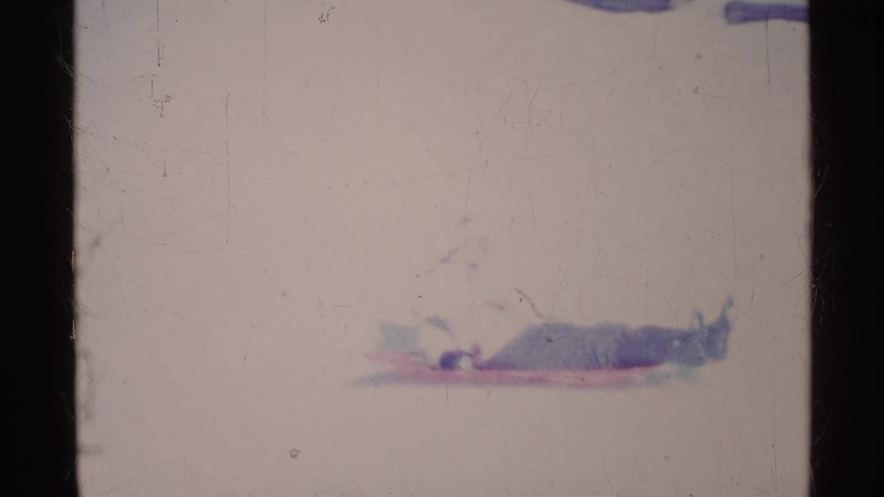 Person in winter clothing lies flat on a sled against a pale snowy background.