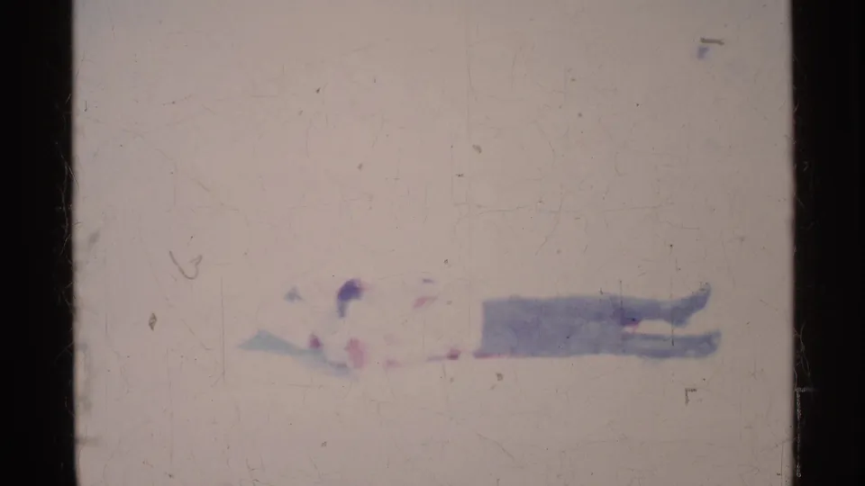 Soft 8mm Ohio winter frame showing the sled rider stretched out near the bottom of the snowy slope.