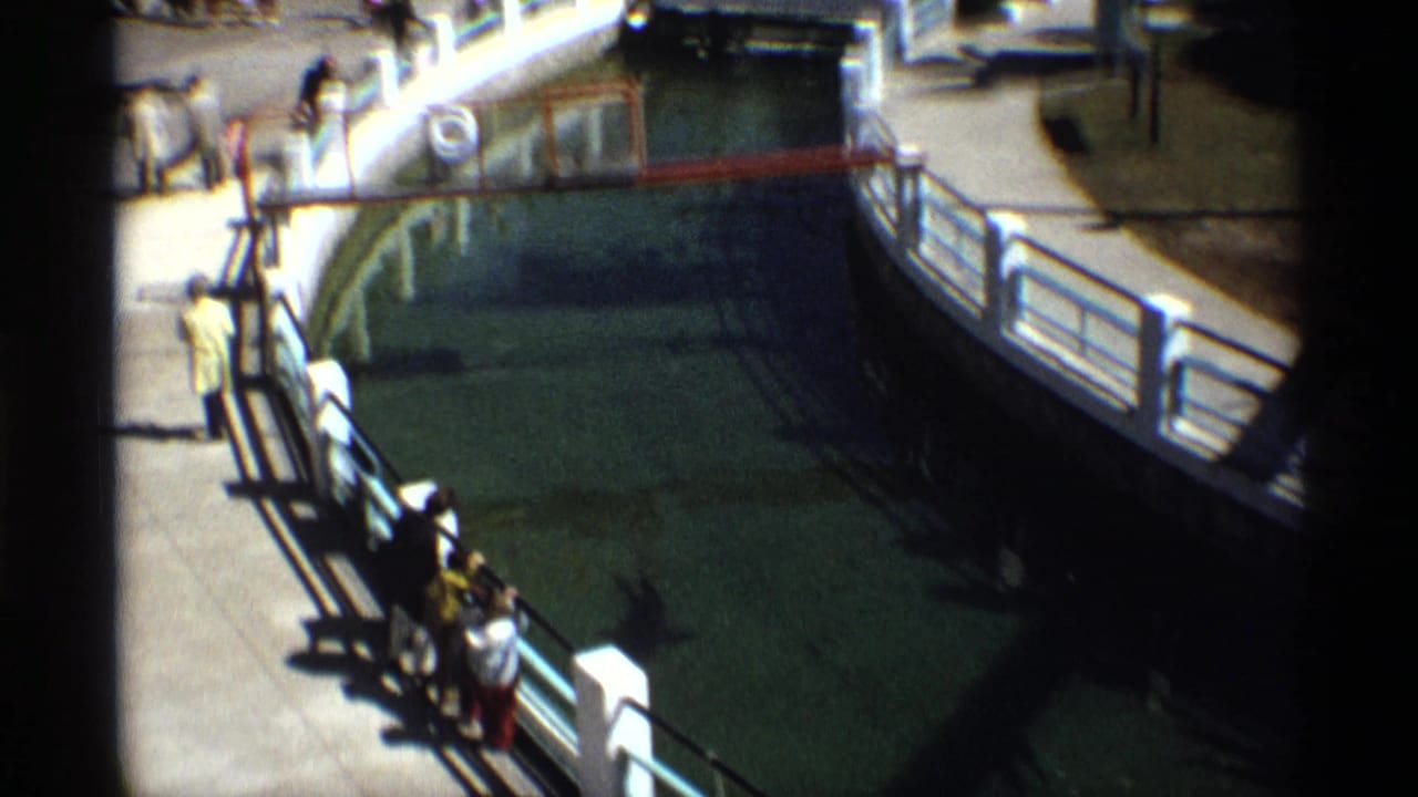 Visitors stand by railings above a large green aquarium tank.