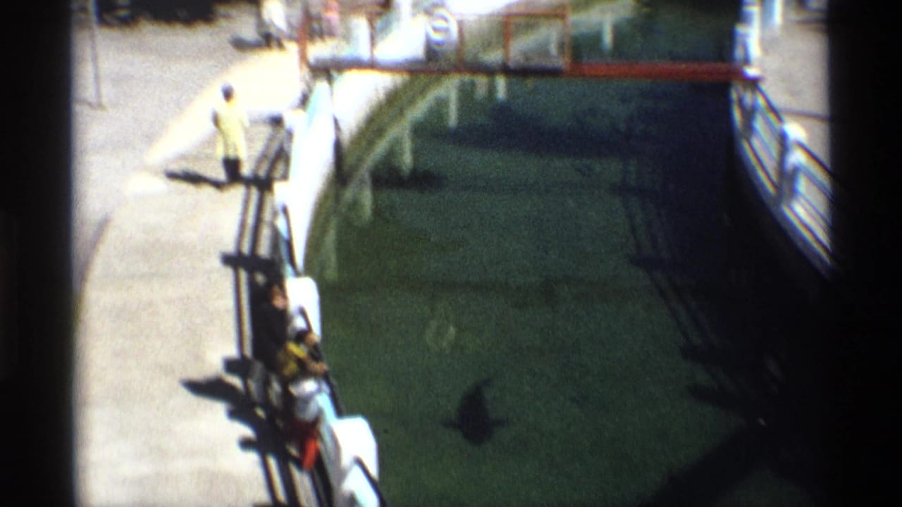 A person in a yellow shirt stands near a railing beside a tank.