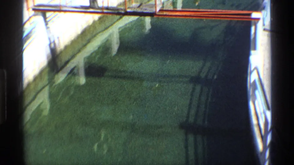 Close view of a large public aquarium tank with green water, curved edges, railings, and reflected light.