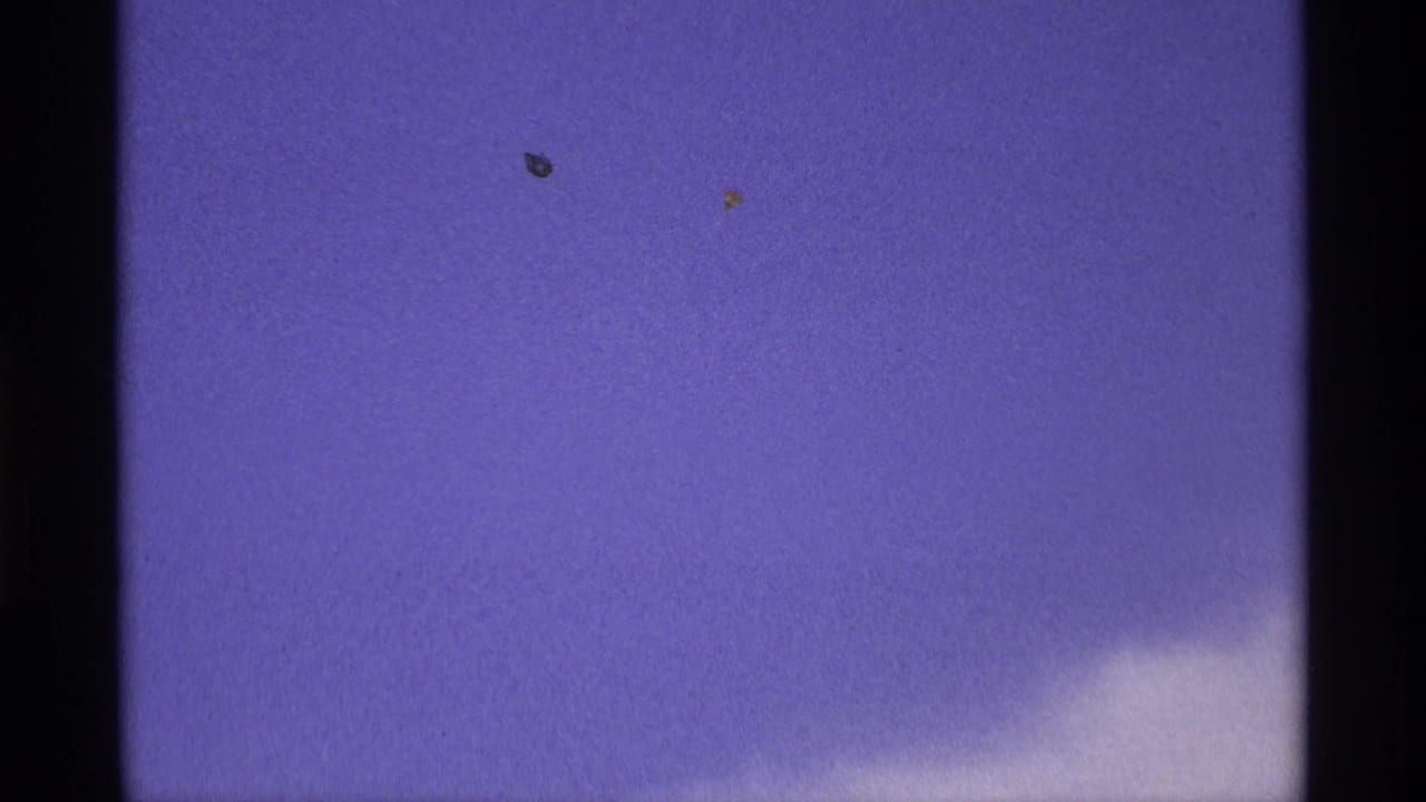 1970 home-movie frame from Florida, Michigan showing a tiny red and yellow kite high in a clear blue sky.