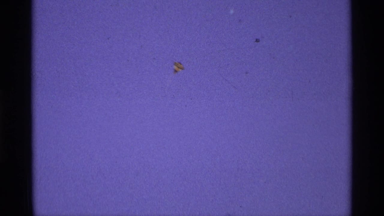 Tiny red and yellow kite near the top of a blue sky frame.