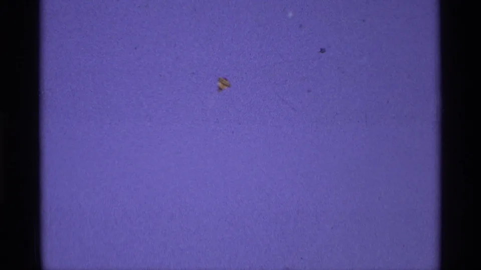 A small red and yellow kite is visible near the upper sky in this 1970 Florida, Michigan home-movie frame.