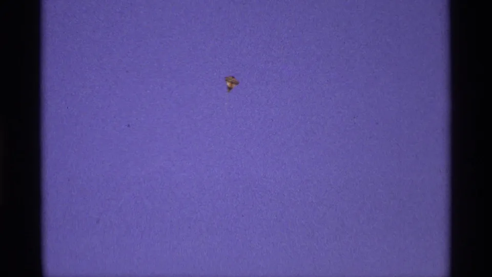 The small red and yellow kite drifts lower in the blue sky, framed by dark 8mm gate edges and visible dust marks.