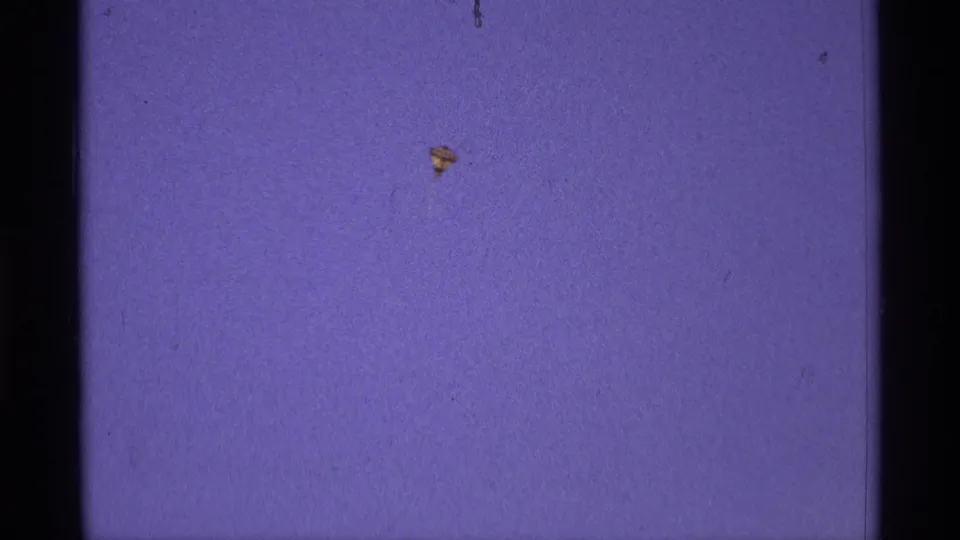 A tiny red and yellow kite remains visible in the open blue sky, with Super 8 grain and dust specks across the frame.
