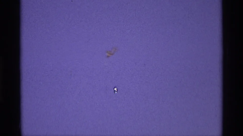 Purple-tinted 8mm home-movie frame showing film grain, gate edges, dust specks, and small surface marks before the outdoor scene.