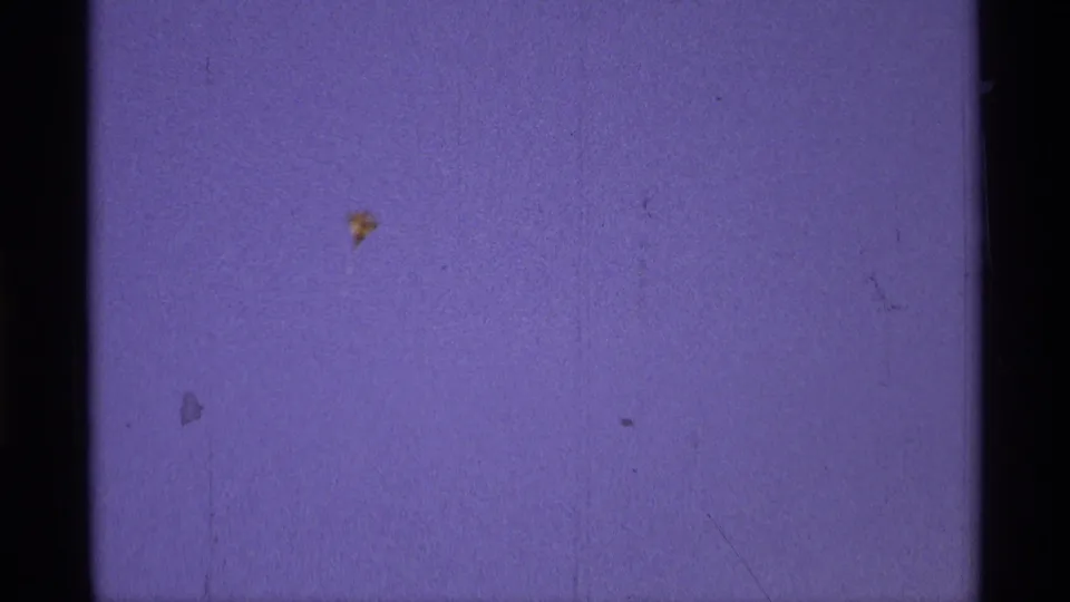 Purple-tinted 8mm frame with a dark vertical gate line, scattered dust, and light surface wear visible in the scan.