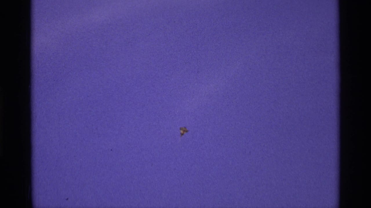 Small bright speck in a purple-blue sky with dark 8mm film borders.