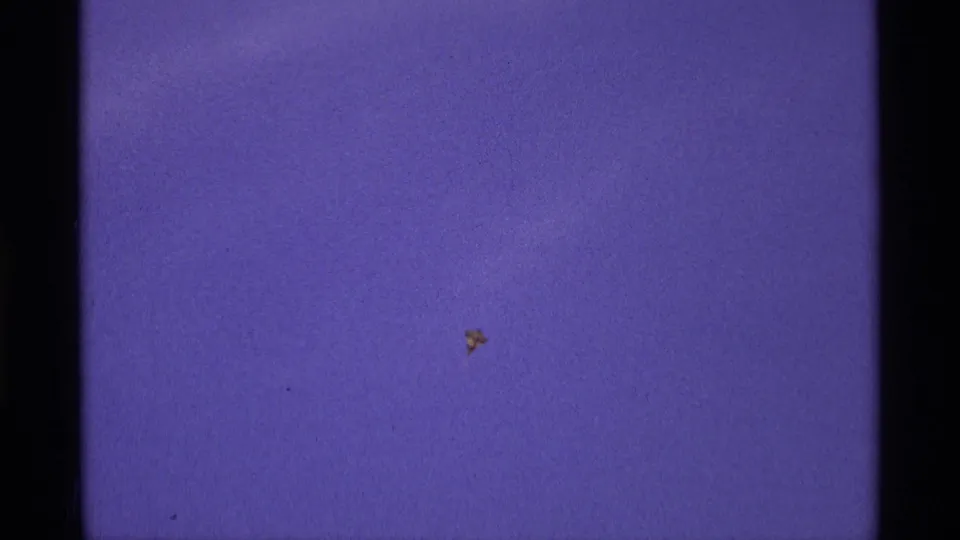 A small balloon-like object appears against a purple-blue sky in 1970 archival 8mm footage from Florida or Michigan metadata.