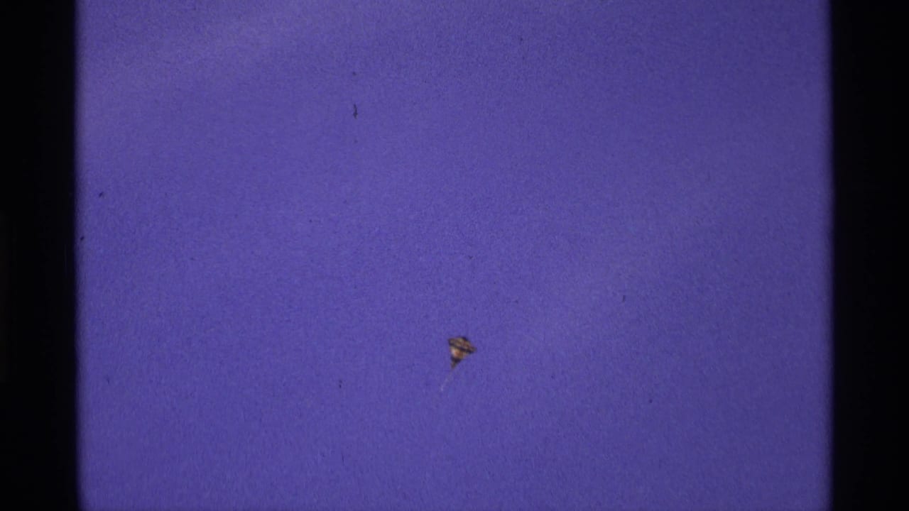 Tiny bright object suspended in open purple sky beside a dark film edge.