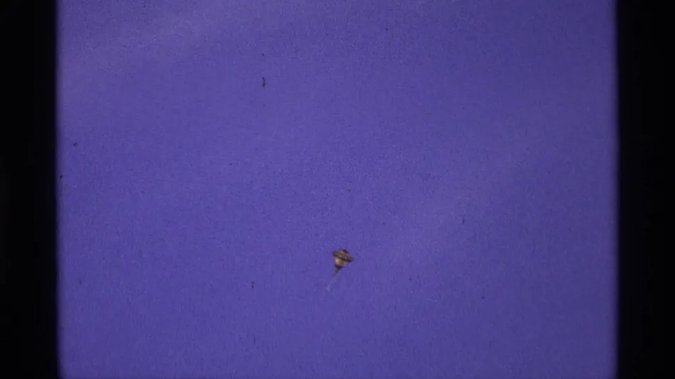 The small balloon-like speck remains visible in the open sky, framed by 8mm gate edges and film texture.