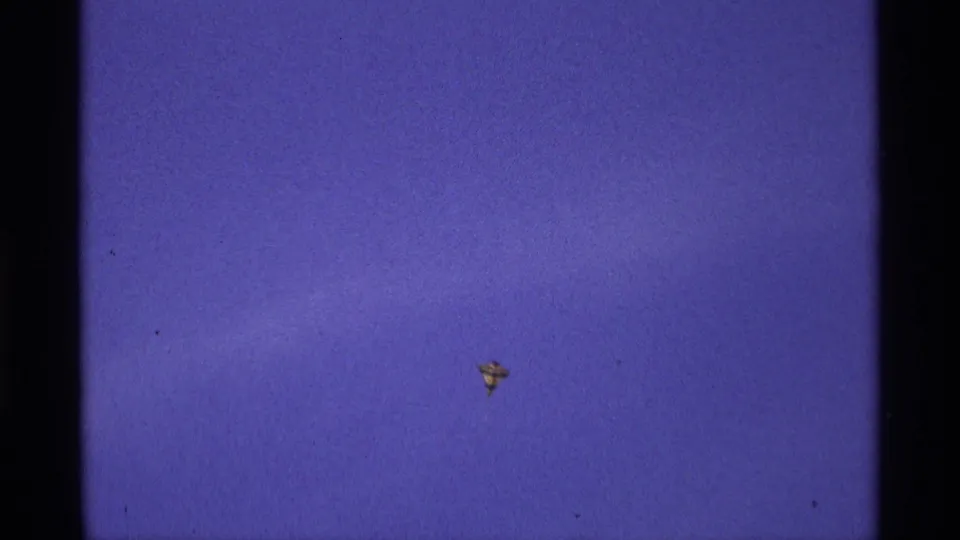 The balloon-like object appears near the lower center of the 8mm frame, surrounded by open purple-blue sky and film grain.