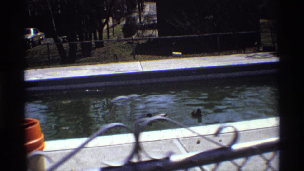 Two ducks swim in a pool beyond dark window framing and a metal railing.