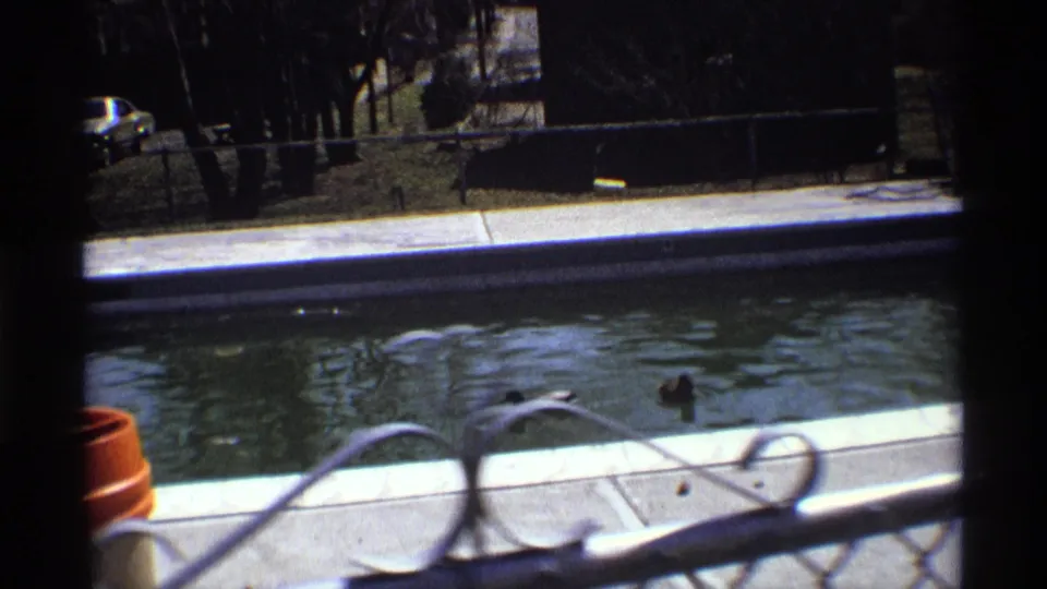 1970 8mm home-movie frame showing two ducks in a residential pool, seen past a dark window frame and foreground railing.