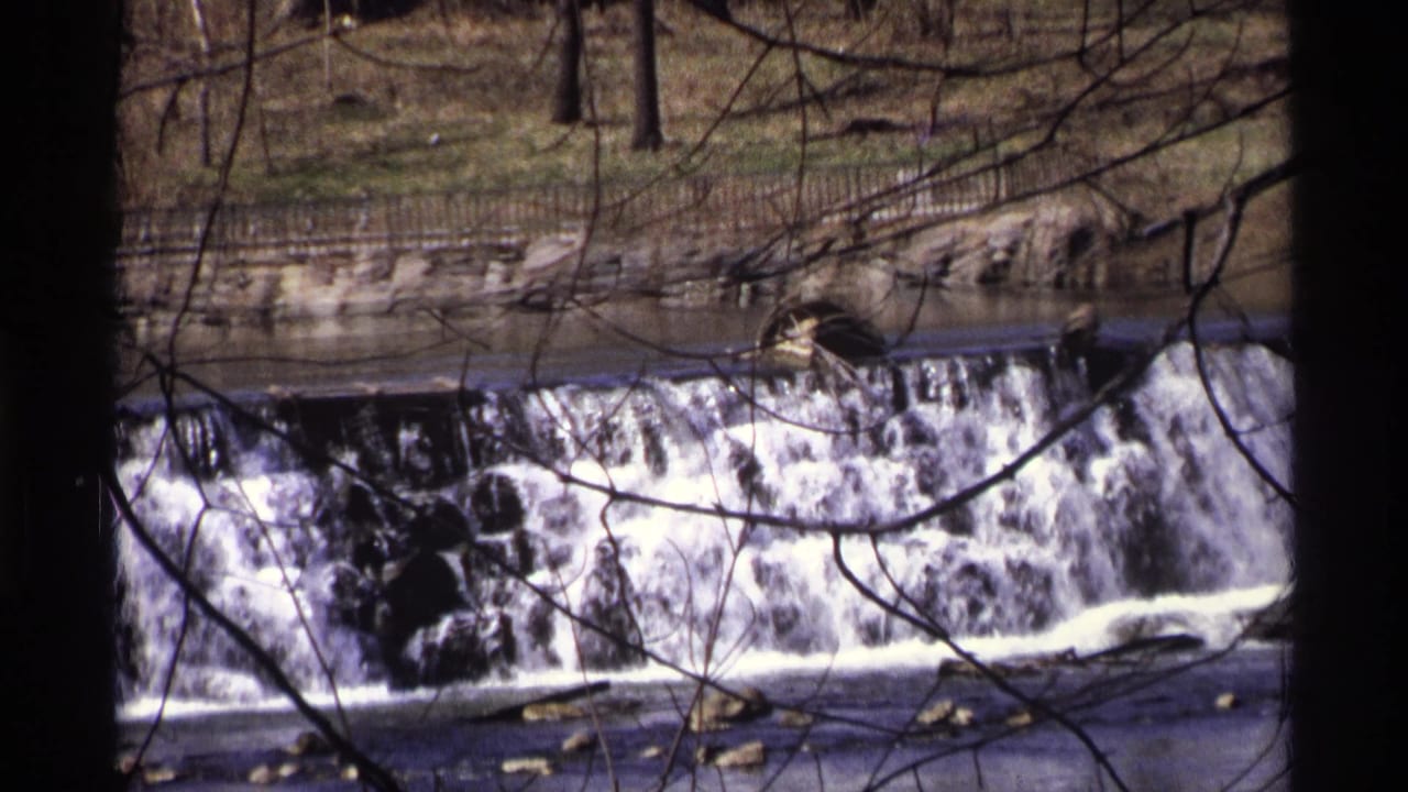 Water cascades over a low dam behind dark tree trunks and bare branches.