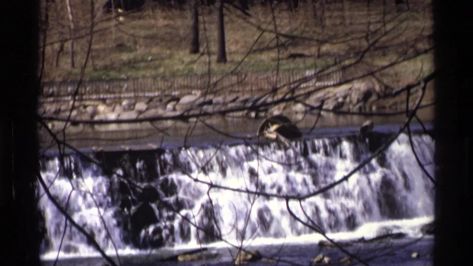 1971 New York City 8mm view of foaming water over a low dam, with bare foreground branches and a fenced grassy bank behind.