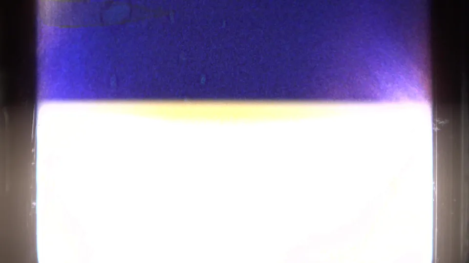 Opening 8mm frame with heavy overexposure, purple-blue color shift, and dark film edges before the zoo scene appears.