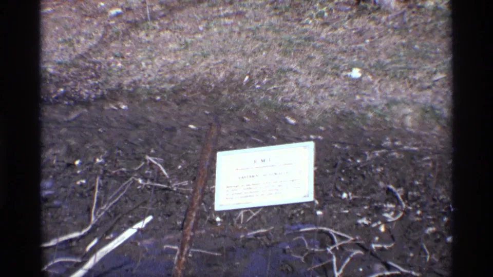 A second 8mm view holds on the enclosure sign, surrounded by dry ground, twigs, grass, and debris in the zoo habitat.