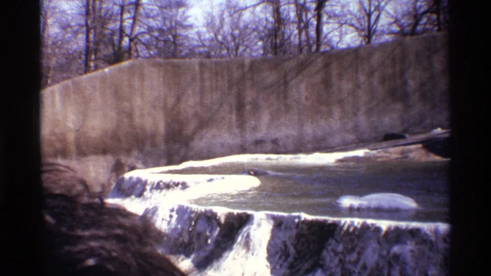 1971 New York City 8mm frame of the polar bear enclosure, showing the pool, snowy ledges, waterfall edge, high wall, and bare trees.