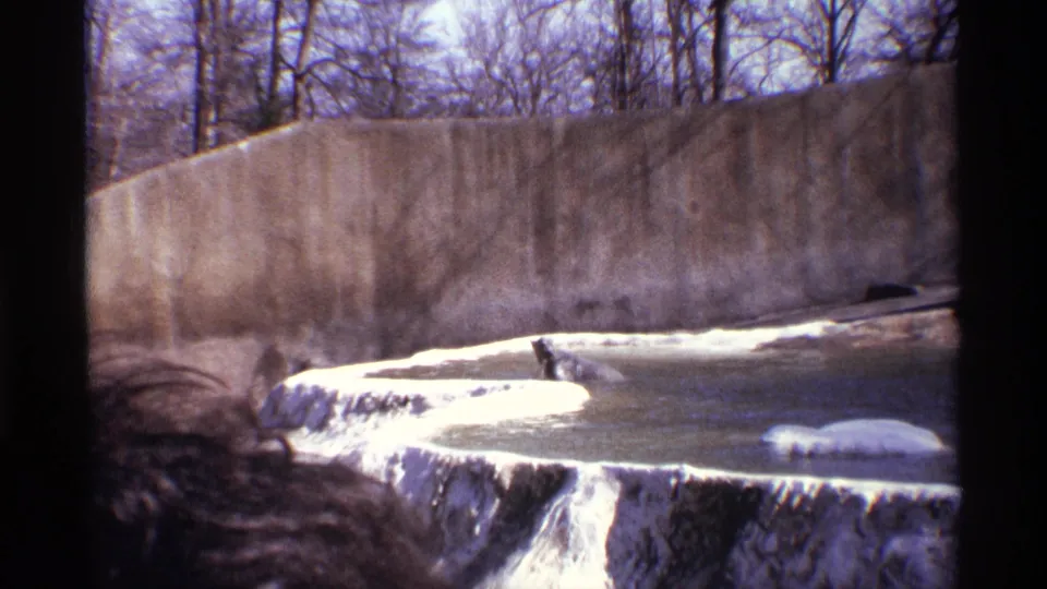 1971 New York City 8mm frame showing a polar bear in murky water beside artificial white ledges inside a concrete zoo enclosure.