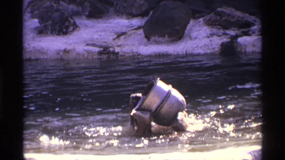 1971 New York City zoo frame showing a sea lion splashing in the enclosure pool with a metal bucket nearby.
