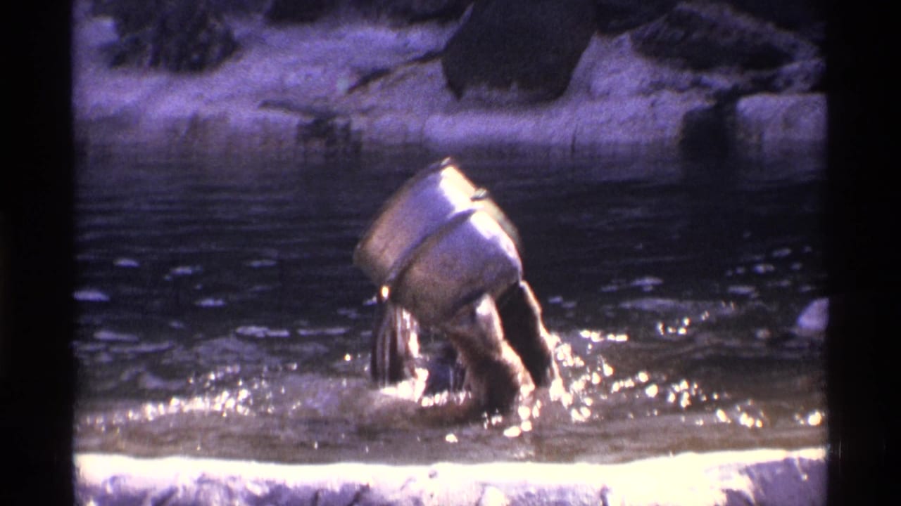 Black bear pushes a white barrel at the edge of shallow water.