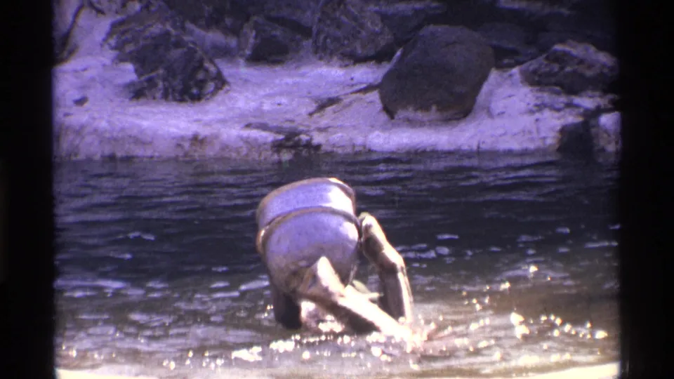 The bear turns the white barrel in the water, with ripples and bright reflections visible in the enclosure-like setting.