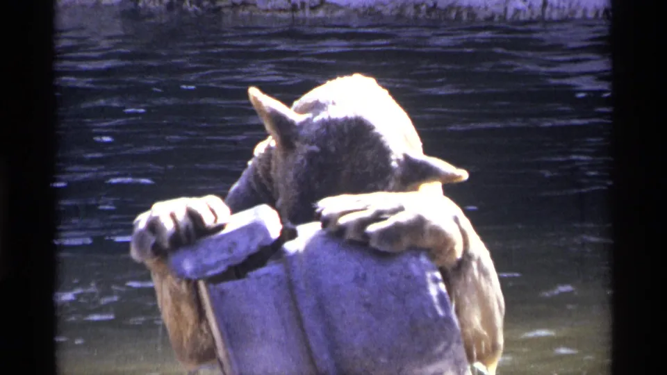 In 1971 New York City 8mm footage, a young bear cub leans over a pale metal water spout in a water enclosure.