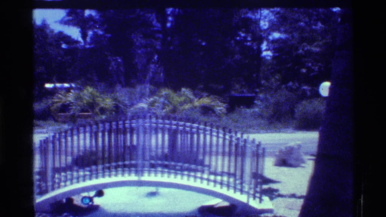 1973 Florida 8mm frame showing a white arched bridge, dark railing, lawn, shrubs, and trees with a strong blue film cast.