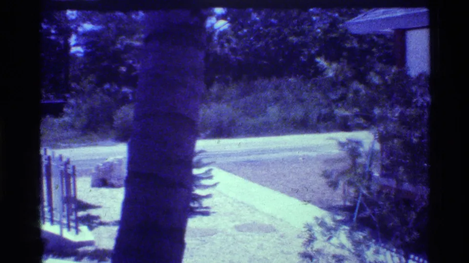 1973 Florida frame showing a palm trunk, bright paved path, lawn, foliage, and the edge of a small bridge railing.
