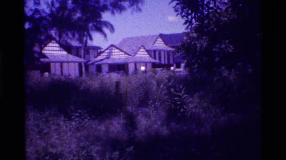 1973 Florida 8mm frame showing a distant low house behind tall grass, palm foliage, and shaded vegetation.