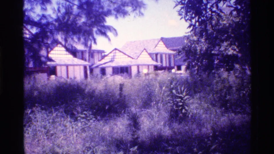 Faded 1973 Florida home-movie frame of a low tropical-style house partially obscured by palms, trees, and tall grass.