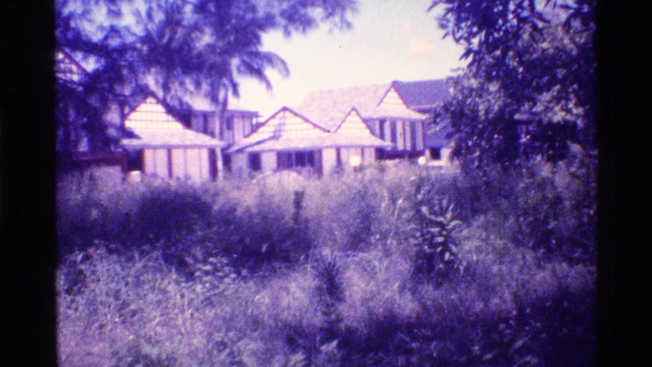 Overgrown grass and trees in front of low residential buildings with sloped roofs.