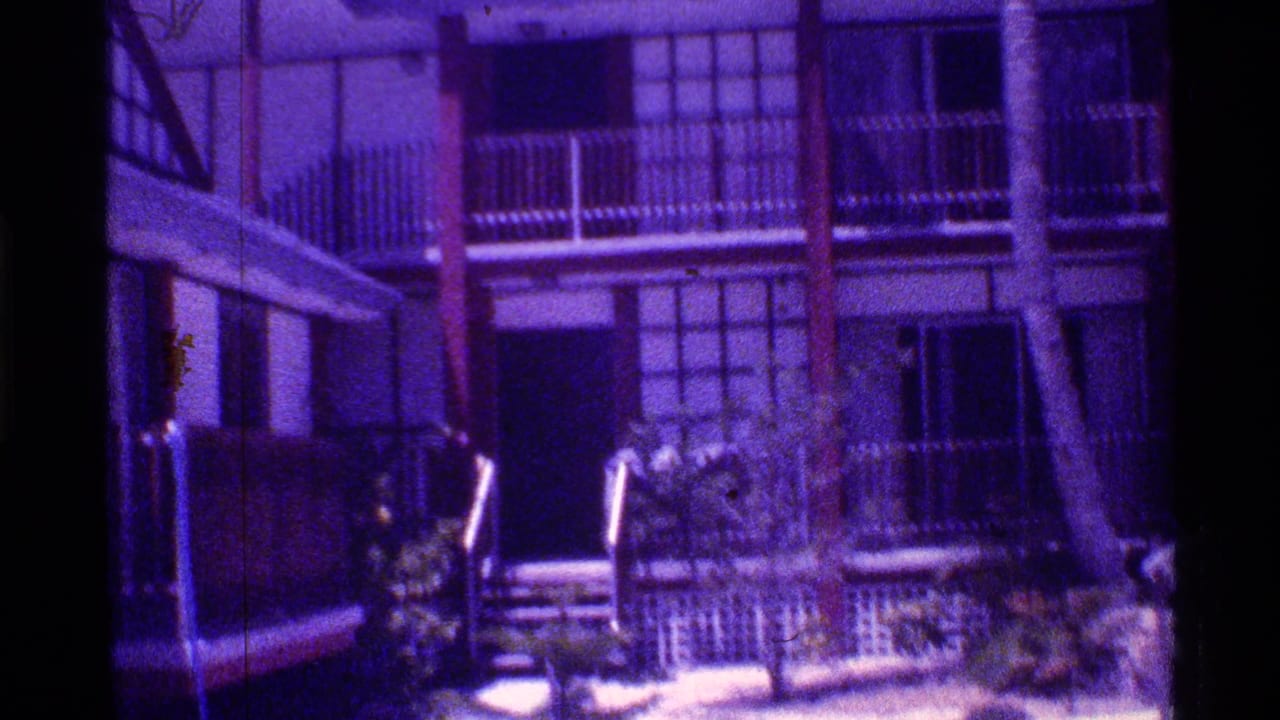 Apartment facade with balconies, railings, window grids, shrubs, and a palm trunk.