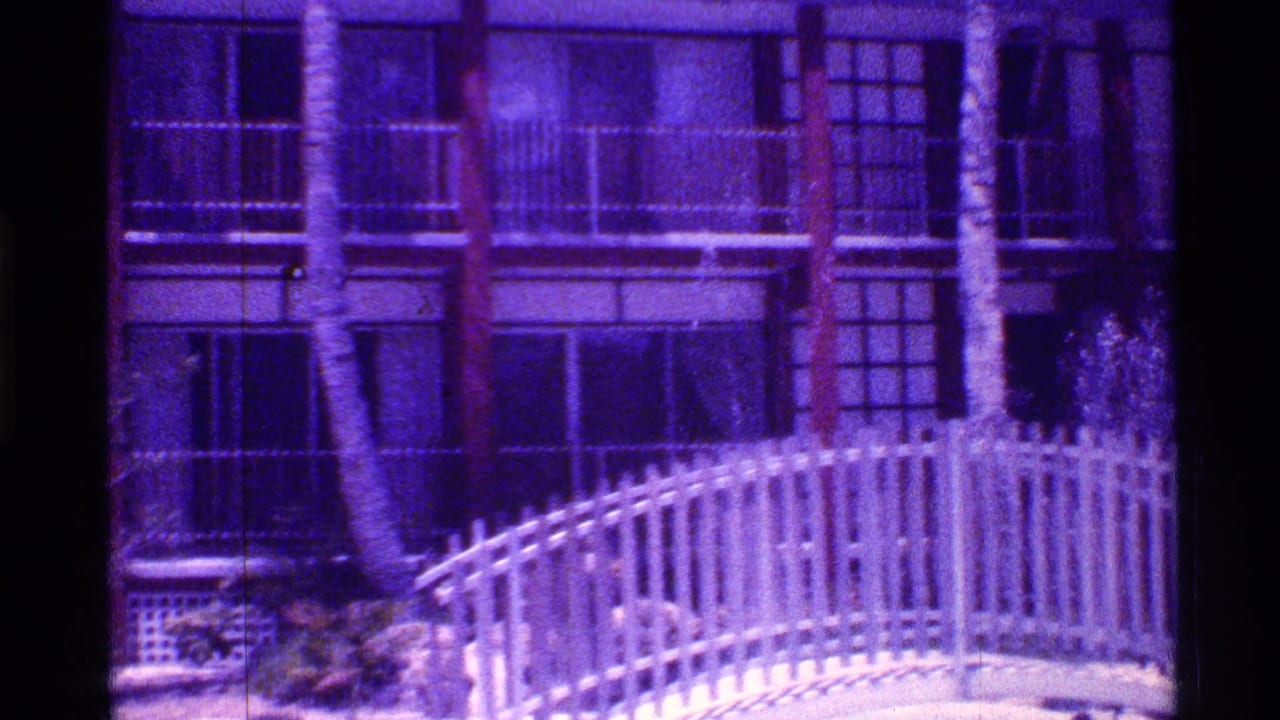 Hotel balconies behind a curved white bridge and palm trunks.