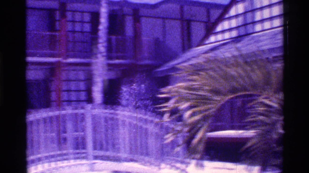 Palm fronds beside hotel balconies and white railings.