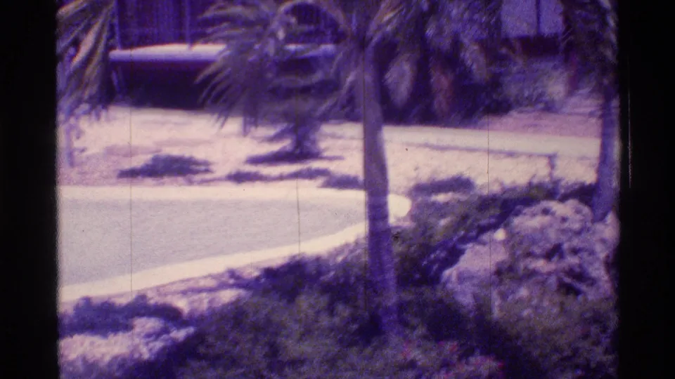 Florida resort grounds with a palm tree, walkway, shrub planting, and hotel balcony edges in purple-tinted 8mm footage.
