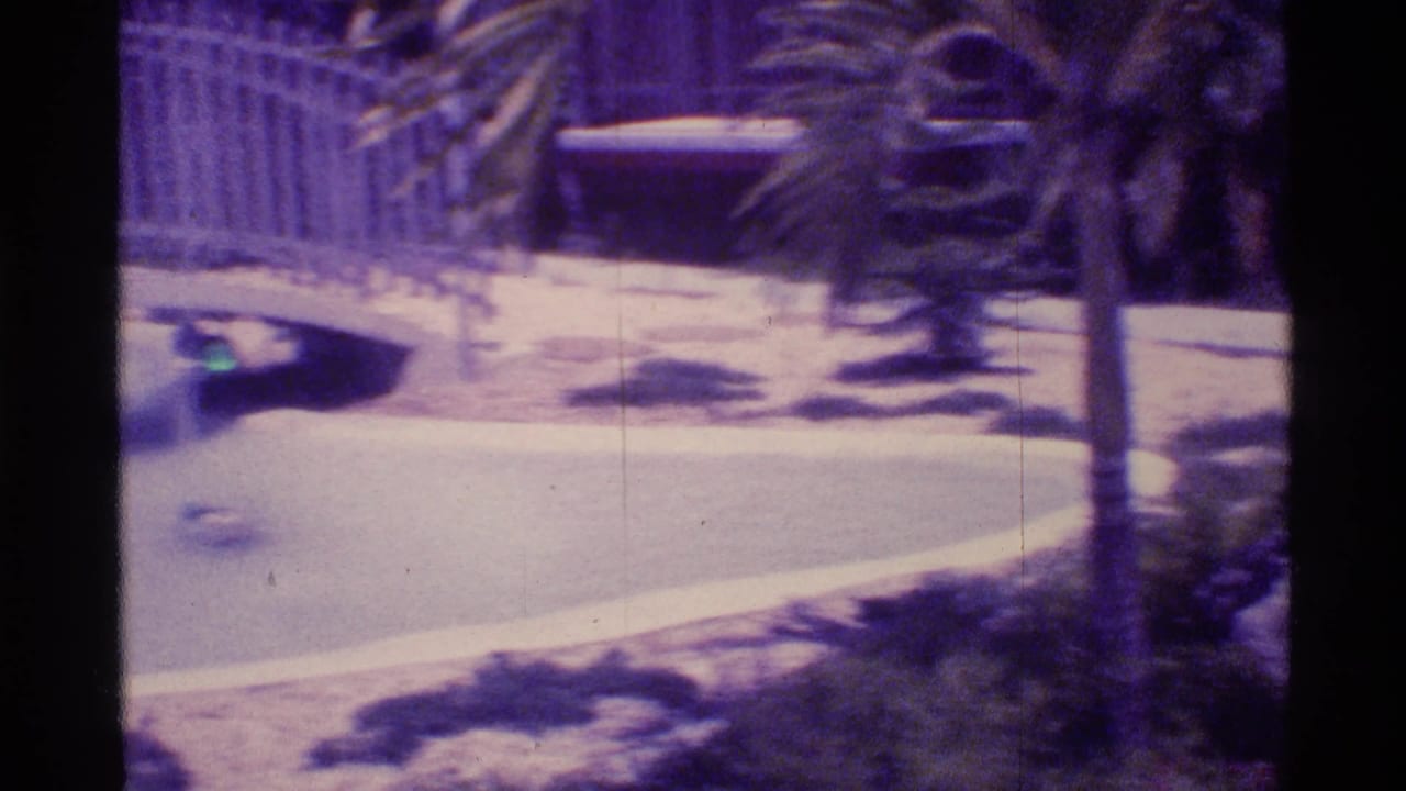 Curved white bridge and pool with palm trunk and pale fence behind it.